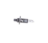 BOSCH H1 Ampoule projecteur longue portée 12V 55W P14.5s Feu de Route Halogène 1