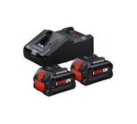 Bosch - Pack 2 Batteries Procore+ 18v 8 Ah + Chargeur Gal 18v-160 Bosch
