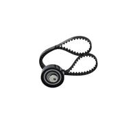 BOSCH Kit de distribution 1 987 946 524 Nombre de dents: 96 17,3mm 914mm Compatible avec RENAULT Kangoo 2 Express FW, FW0/1 Kangoo 2 / Grand Kangoo KW, KW0/1, DACIA SANDERO II