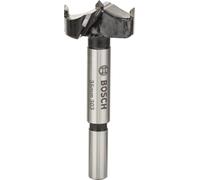 Bosch Mèches artistiques HM 35 x 90 mm d 10 mm - 2608597613