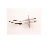 Bosch Pièce de Rechange Ttnr : 8718593665 Allumage D'Électrode V5 Everp