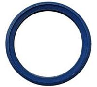 Bosch pièce détachée TTNR: 7096475 7096475 joint à lèvre DN80 (bleu)