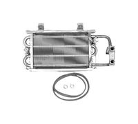 Bosch Pièce Détachée TTNR: 87154063830 Couvercle Brûleur 18kW