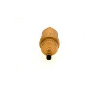 BOSCH Pièce D'Origine TTNR: 7736603902 Dépressuriseur 3/8" CALEFFI Robo Everp