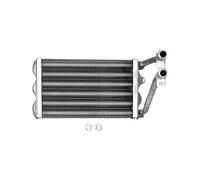 BOSCH Pièce D'Origine TTNR: 87154063900 Échangeur De Chaleur