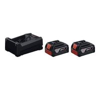 Bosch Professional 1.600.A03.CH1 2xGBA18V 5.0Ah, GAL12V/18 Batterie pour Outil 18 V