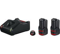 Bosch Professional 1600A019R8 GAL 12V-40 + 2x GBA 12V 2.0Ah Batterie pour outil et chargeur 12 V 2 Ah Li-Ion