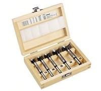 Bosch Professional 5 pièces Mèches à façonner à mise rapportée en carbure Set (Ø 15/20/25/30/35 mm, accessoires perforateurs)