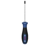 Bosch Professional PRO Schraubendreher TH27 x 100 mm Tournevis TX Longueur de la lame: 100 mm