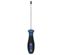 Bosch Professional PRO Schraubendreher TH30 x 125 mm Tournevis TX Longueur de la lame: 125 mm