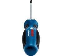 Bosch Professional tournevis TX25 x 100 mm (Torx, acier S2)