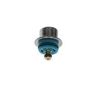 BOSCH Régulateur de pression de carburant 0280160560 Compatible avec: ALFA ROMEO 146, 156, 166, SPIDER, AUDI A3, CITROËN BERLINGO/BERLINGO FIRST Großraumlimousine (MF_, GJK_, GFK_
