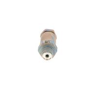 BOSCH Soupape (recirculation des gaz d'échappement) 1110010035