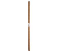 BOSCH Tige de guidage 10 x 800 mm pour défonceuse (2 pcs) 2609200145