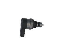 BOSCH Tube de distributeur carburant 0 445 214 160 avec senseur de pression