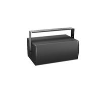 BOSE PRO Caisson de basses MB210-WR Noir