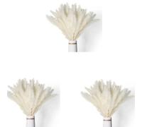 Bosiyrggrl 120 Pièces Séries Herbe de Pampa Blanche Séchée 45 CM Moelleux et Oscillant Bricolage Boho Plante pour Mariage Arrangements de Fleurs Décor