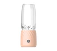 Bosiyrggrl 2 Pièces Mélangeurs Portables Mini Presse-Agrumes Rechargeable Mini Presse-Agrumes Électrique Portatif pour Fruits et Légumes, C