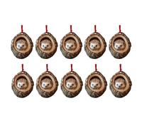 Bosiyrggrl Décorations de Noël Décorations de Sapin de Noël Hérisson Acrylique Pendentif Plat Panneau Suspendu