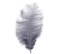 Bosiyrggrl Nouveau Style Reel Naturel 10-12 Pouces Plumes d'autruche Grandes Decorations Grises