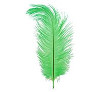 Bosiyrggrl Nouveau Style Reel Naturel 10-12 Pouces Plumes d'autruche Grandes Decorations Herbes