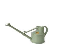Bosmere Haws, mini arrosoir en plastique pratique pour plantes d'intérieur, plantes grasses et fleurs, vert sauge, 0,5 L