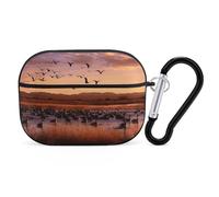 Bosque Del Apache AirPods Pro 2, coque de protection rigide antichoc pour homme et femme, compatible avec Airpod Pro 2e/1ère génération, avec porte-clés - noir