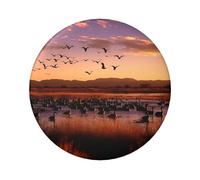 Bosque del Apache Lot de 5 épingles personnalisées en métal pour sacs à dos, chapeaux, sacs à dos, cadeaux esthétiques pour homme et femme, One Size, Métal, Pas de pierre précieuse