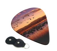 Bosque del Apache Wildlife Refuge Lot de 6 médiators en celluloïd de 0,46 mm d'épaisseur avec support de médiators en cuir, médiators personnalisés pour basse, guitare électrique, acoustique, cadeau