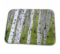 Bosquet De Trembles Près D'East Glacier, Montana - Chuck Haney Trees Tapis De Douche Antidérapant Paillasson Intérieur Doux Tapis De Bain pour Chambre Baignoire Extérieur 40X60 Cm