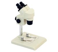 BOSREROY Microscope Miniature pour Maison de poupée, modèle réaliste, Jouet éducatif en Plastique, décoration de Bureau, 1,4 x 2 Pouces