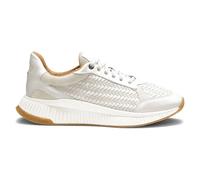 Boss Baskets Ttnm Evo