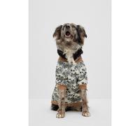 BOSS Bomber pour chien - Style Dog Bomber Jacket, B2FDAJ022 Beige clair L