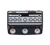 Boss DM-101