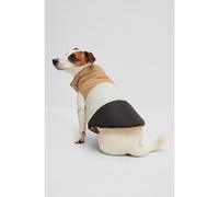 BOSS Doudoune réversible pour chien - Style Dog Reversible Puffer Jacket, B2FDAJ004 Noir XL