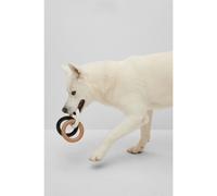 BOSS Jouet pour chien aux couleurs emblématiques - Style Dog Pull Toy, B2FDCT019 Noir M