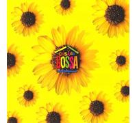 Bossa Nova Magic-Live in Rio [Import]