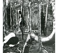 Bosse de Nage - Bosse de Nage