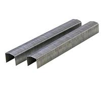 Bostitch R501912 Agrafes pour agrafeuse Powerslam 12 mm Lot de 5000 (Import Grande Bretagne)