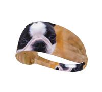 Boston Terrier Bokeh Chiens Animaux de Compagnie Boston Terrier,Bandeau de Sport Unisexe, Bandeau élastique Multi-usages pour Cheveux