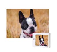 Boston Terrier Bokeh Chiens Animaux de Compagnie Boston Terrier,Puzzle Familial en Bois de 300 pièces pour Adultes et Adolescents, décoration d'intérieur