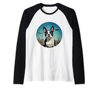 Boston Terrier UFOs Aliens Extra Terrestre UAP Orbe Volant Manche Raglan
