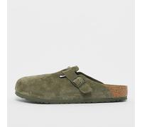 Boston vert 41