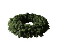 Botané Couronne de mousse Moss Wreath Green. Ø40 cm