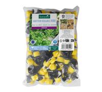 BOTANIC®-100 goutteurs réglables tuyau diamètre 4/6 mm 13/16 mm botanic - Arrosage goutte à goutte