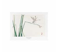 BOTANIC®-Affiche libellule - 30 x 40 cm