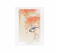 BOTANIC®-Affiche mésange sur une branche - 30 x 40 cm