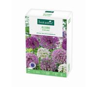 BOTANIC®-Allium botanic - 25 bulbes