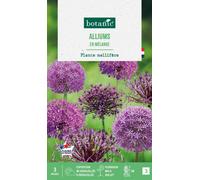 BOTANIC®-Allium en mélange - 3 bulbes