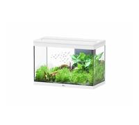BOTANIC®-Aquarium Splendid blanc équipé de LED - 80 x 40 x 56 cm